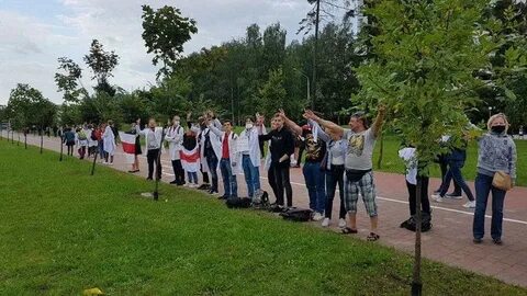 97 новости беларусь