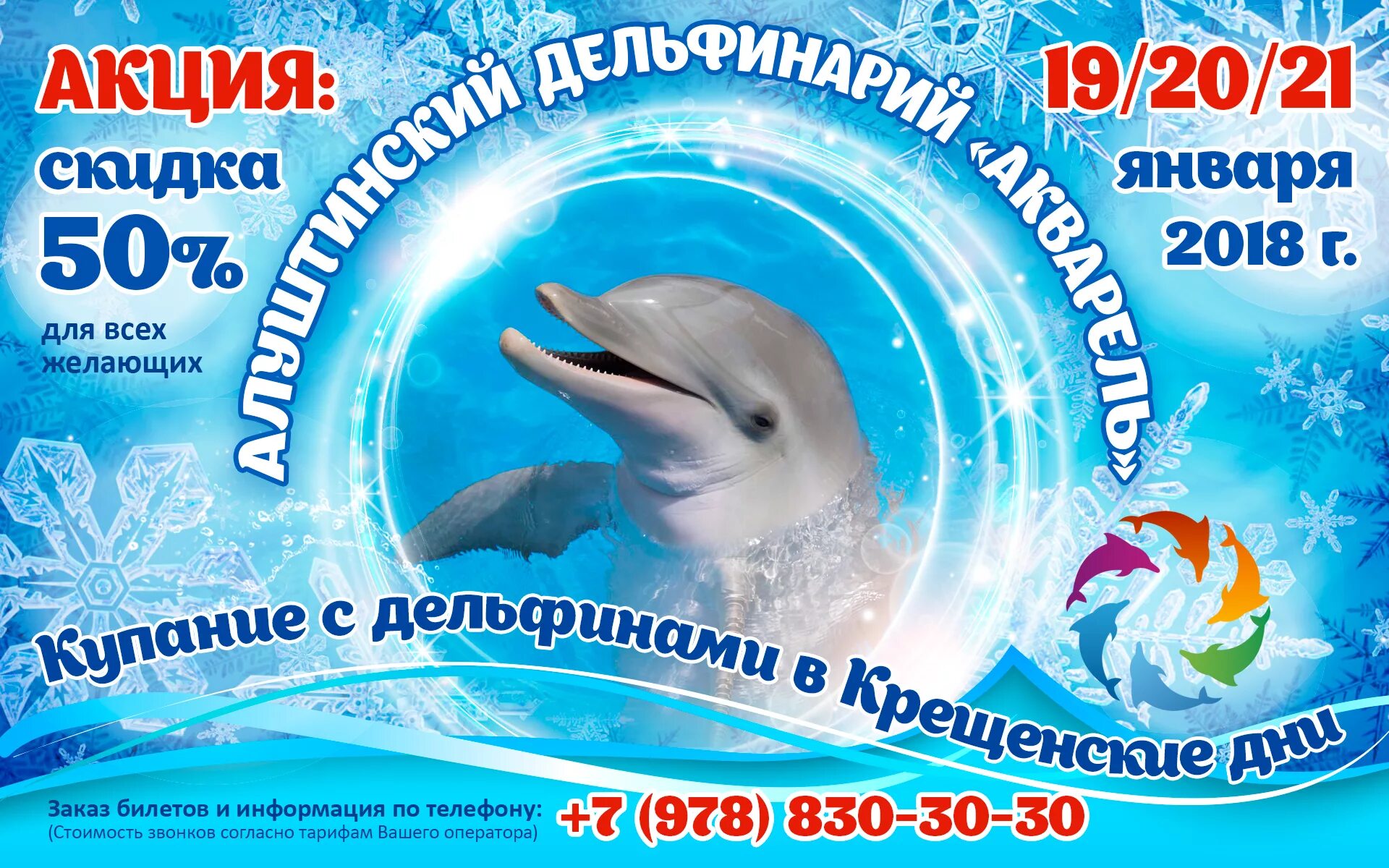 Подарочный сертификат в дельфинарий. Сертификат на посещение дельфинария. Сертификат дельфинарий Новосибирск. Алуштинский дельфинарий подарочный сертификат. Билеты в дельфинарий москва