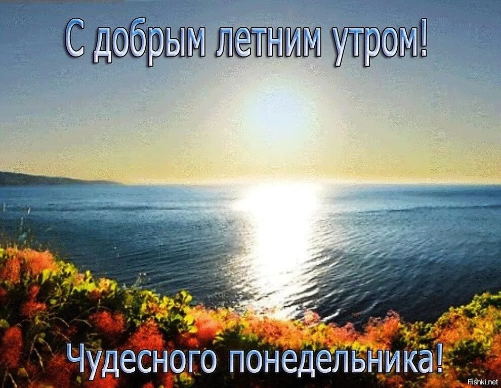 Хорошего понедельника лето картинки. Доброго летнего понедельника. доброго понедельника лета. доброе летнее утро понедельника. с добрым летним утром понедельника.