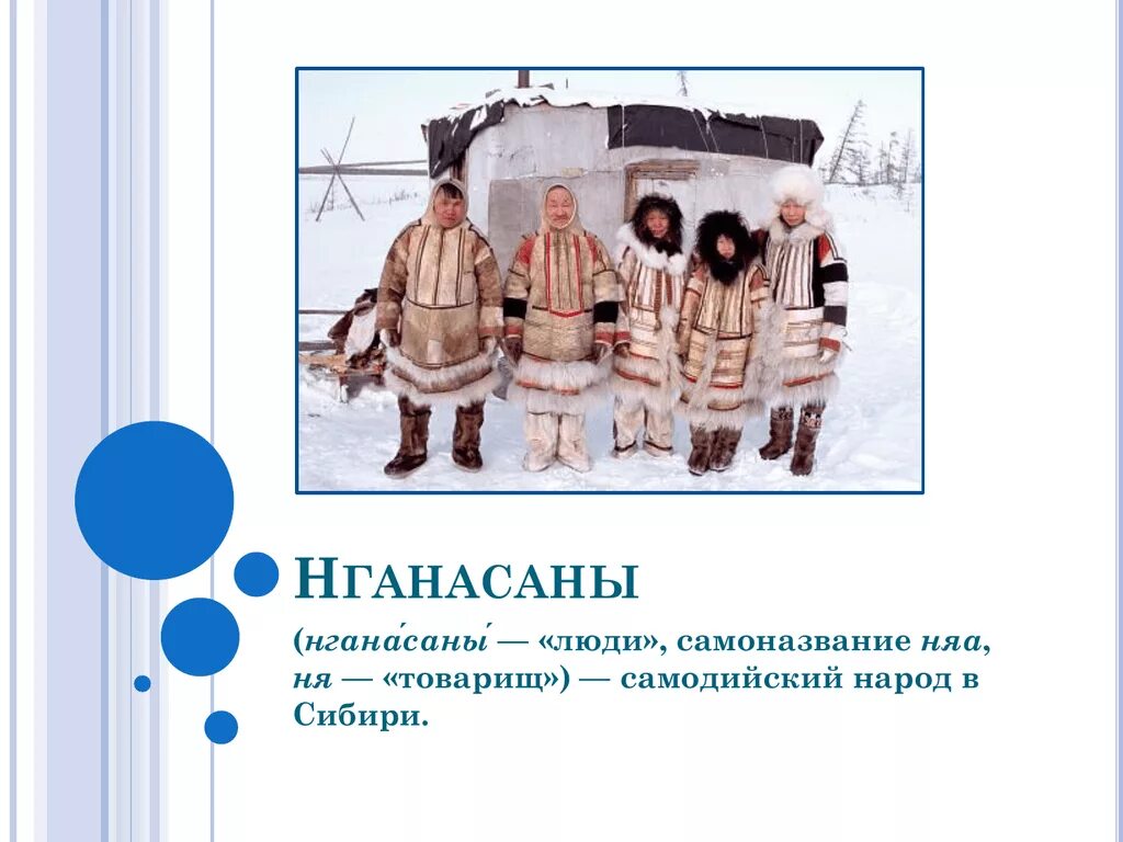 Нганасаны ненцы