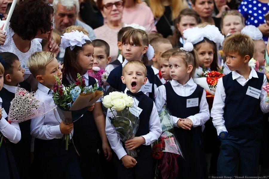 Элжур 57 калининград. 57 школа калининград. школа номер 57 калининград. школа 16 калининград. директор школы 57 калининград.