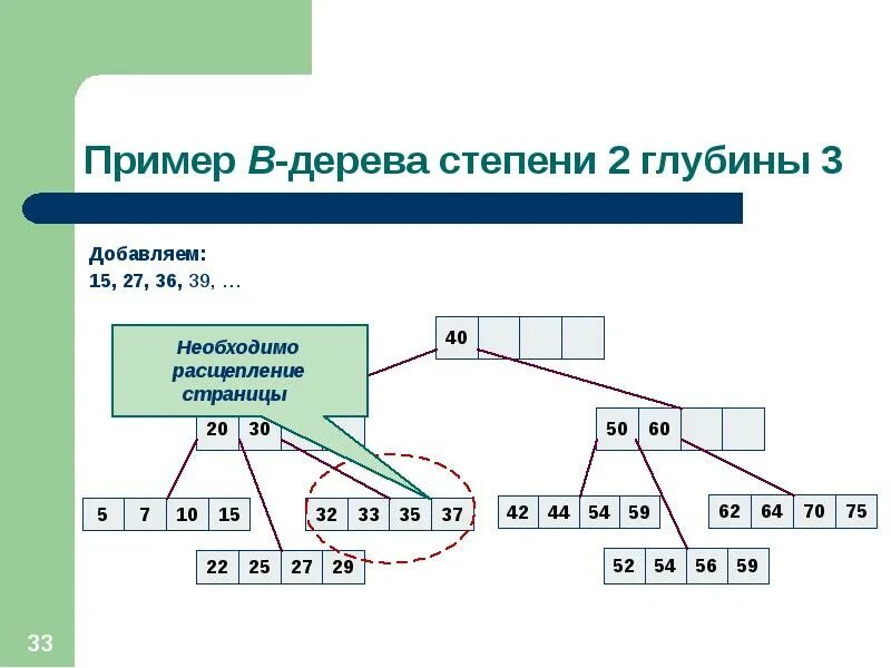 B-дерево. Степень дерева пример. Степень b дерева. B-Tree примеры. B деревья примеры