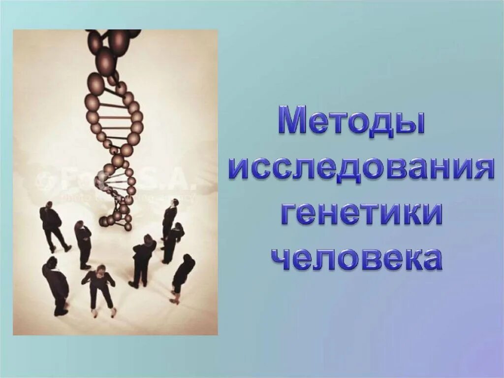 Методы исследования генетики человека. Методы исследования генетики человека презентация. Методы изучения генетики человека презентация. 3 Метода изучения генетики человека.