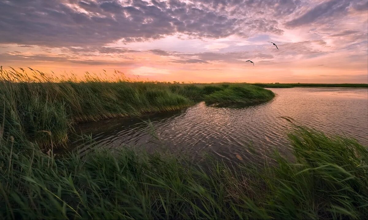 Водоемы в степи. Пруд в степи. Река ветра. Озеро с камышами. Ветер на речке.