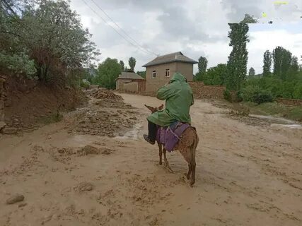 Пагода сариосие