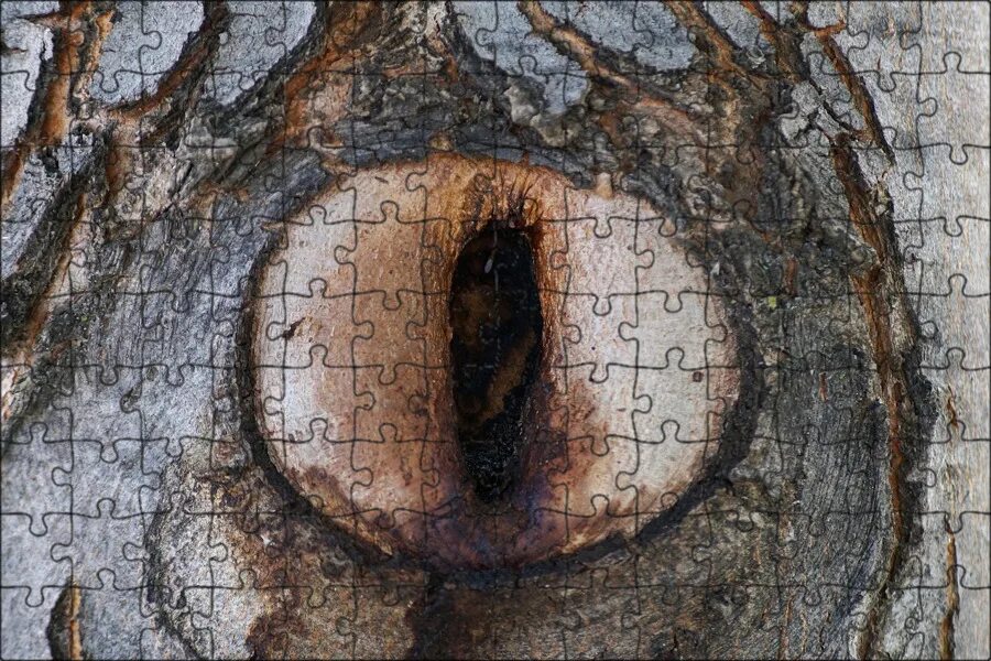 В стене дыра в дыре глаза. Дыра в дереве. Глазки древесины. Дерево с глазами. Дерево с глазами на стволе.