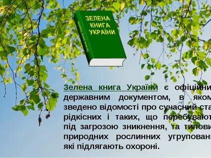 Название книги зеленый