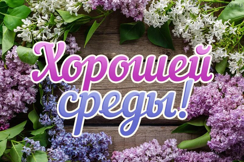 В среду утром к открытию. Открытки со средой. Пожелания на среду. Открытки с средой и хорошим днем. Открытки со средой прикольные.