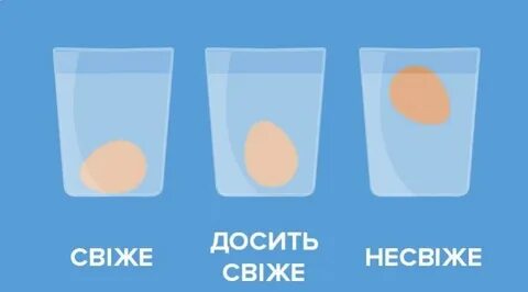Почему яйцо всплывает наверх