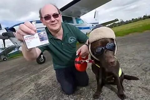 Pilot animal