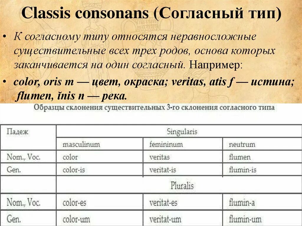 Существительные согласного типа латынь. Согласный Тип латынь. 3 Склонение согласный Тип латынь. Согласный Тип в латинском. Ошибка 3 рода