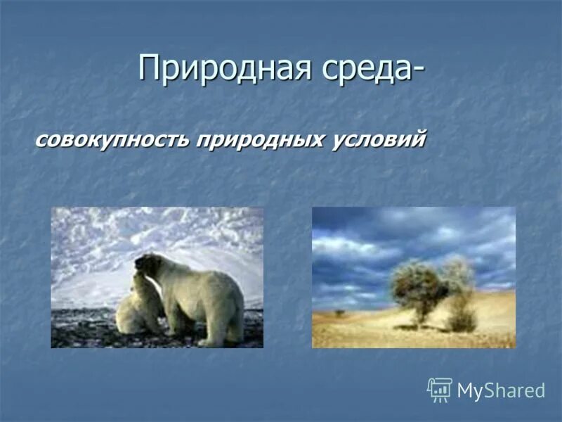 среда - это совокупность. определена охрана окружающей среды. окружающая природная среда совокупность природных. окружающая природная среда. окружающая среда - совокупность компонентов.