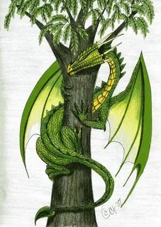 Рисунок древесного дракона