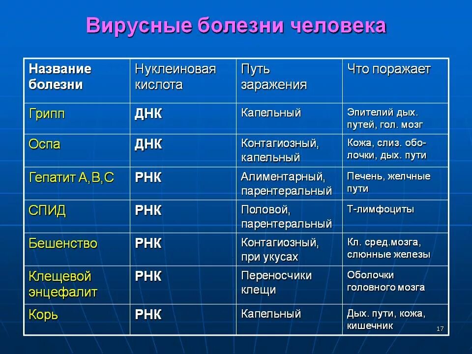 Вирусные заболевания. Вирусные заболевания человека. Вирусные заболевания список. Вирусы и вирусные заболевания таблица.