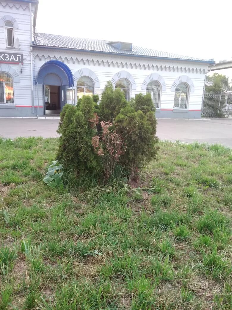 Суземка. Рассвет Суземка. Подслушано Суземка Суземский район. Суземка 32