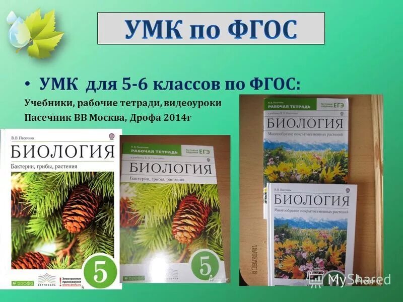 6 Класс биология Пасечник ФГОС. Пасечник в. в. биология. 6 Класс // Дрофа..