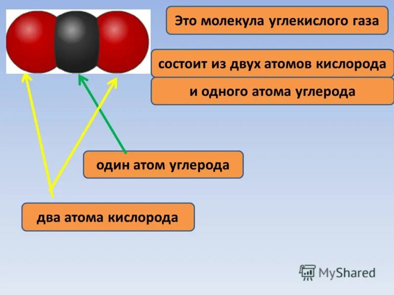 Состоит из 2 атомов кислорода. Молекула углекислого газа состоит. Строение молекулы углекислого газа. Молекула углекислого газа состоит из. Молекула углекислого газа из атомов.