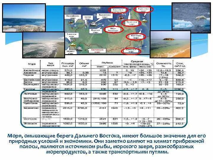 Море тихого океана омывающие берега россии. Ресурсы морей России 8 класс география. Ресурсы морей России таблица. Сравнительная характеристика морей дальнего Востока. Характеристика морей России.