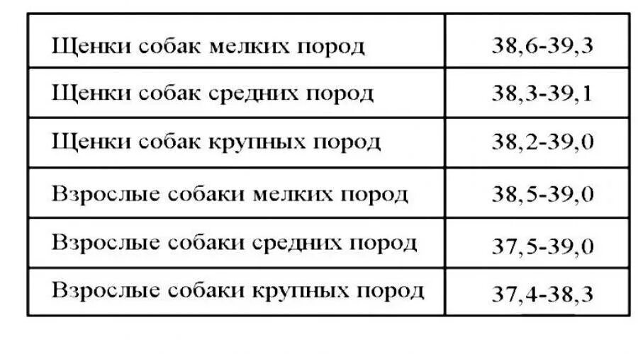 Какая нормальная температура у собаки должна быть