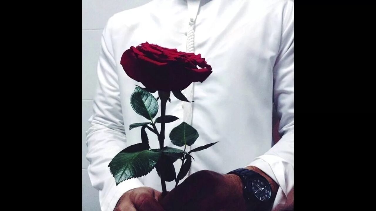 Песня я подарю тебе розы пионы. Парень у машины с красными розами. По...шли покурим с розой. Я подарю тебе розу курим папиросы. Розы фото рука в руке вино.
