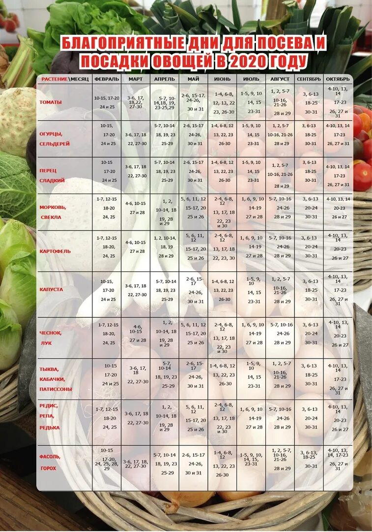 Календарь посадок на 2022 год для огородников. Лунный посевной календарь на 2022 год садовода и огородника. Таблица посева овощей лунный календарь. Календарь посевной 2022г для садовода и огородника. Таблица посева семян 2024 года