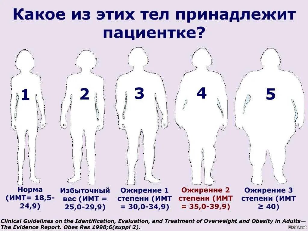 3 й стадии. Ожирение 2 степени у женщин вес. ИМТ при ожирении 2 степени. Ожирение первой степени индекс массы тела.