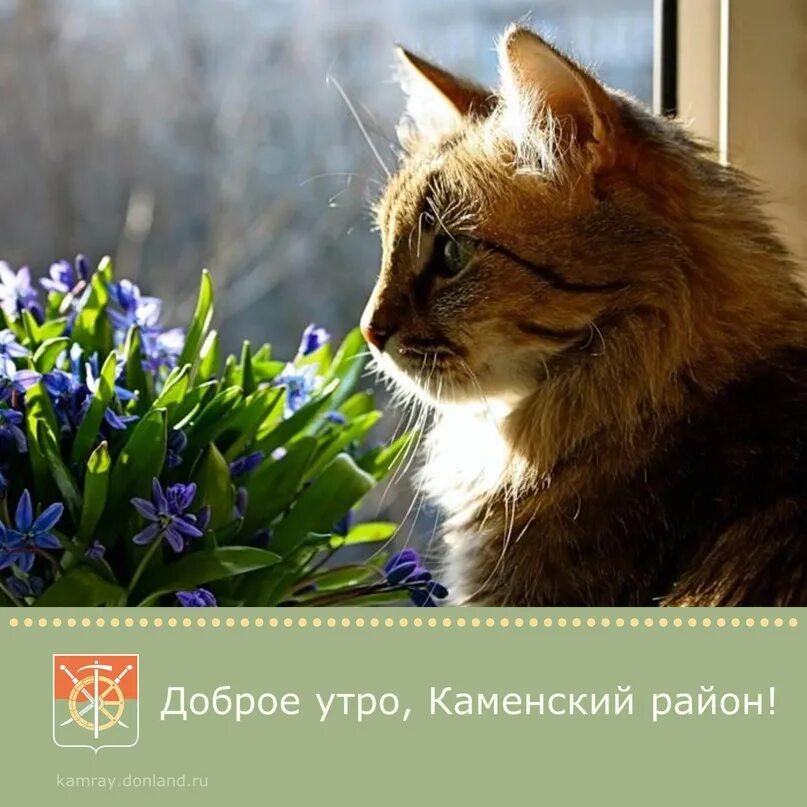Аромат весны картинки. Девушка в шляпе с цветком. Весенний запах. Аромат весенних цветов. Oreshinaphoto.