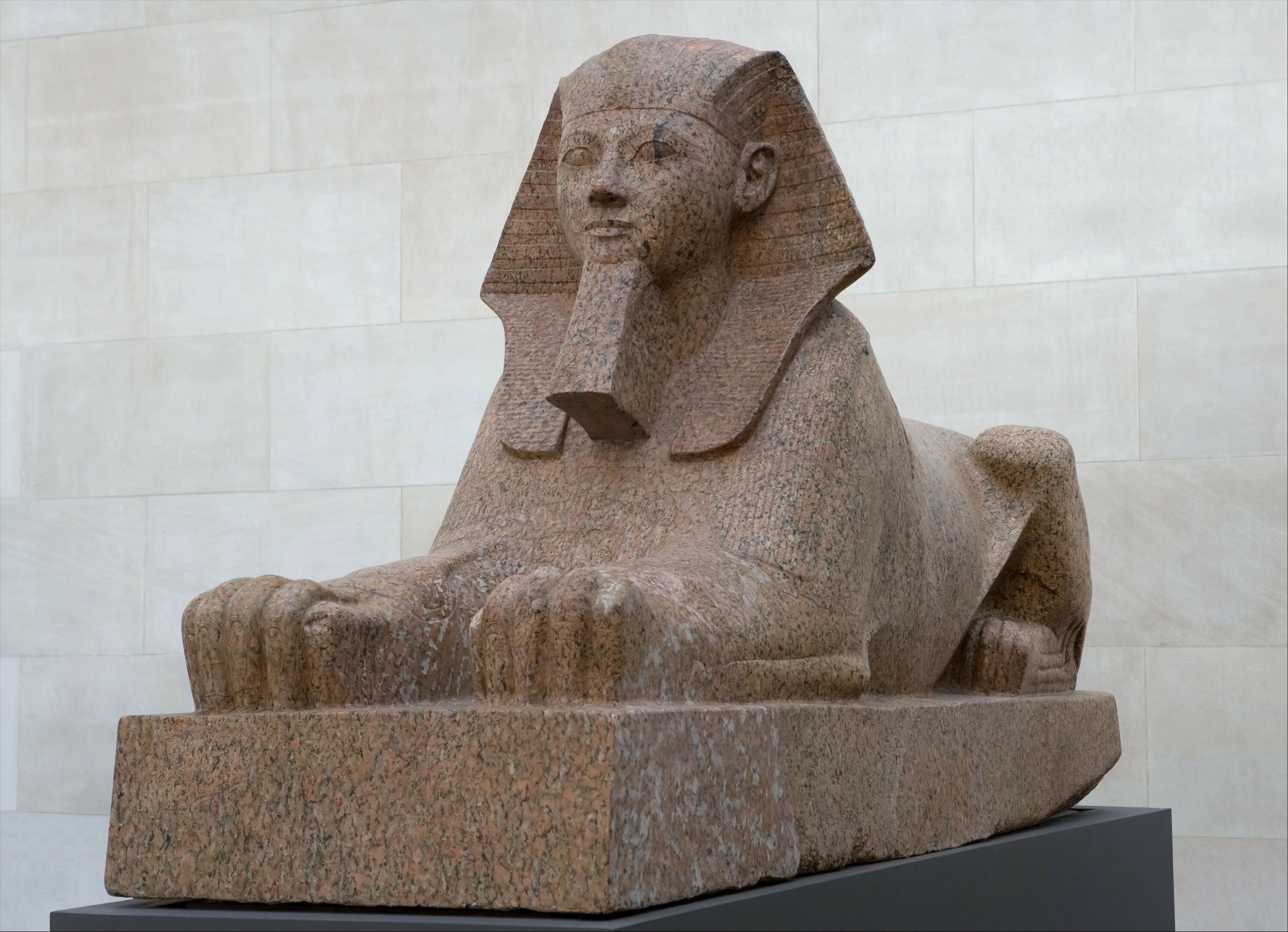 Фараон с бородой. Сфинкс царицы Хатшепсут. Древний Египет Хатшепсут сфинкс. Статуя Хатшепсут. Сфинкс скульптура древнего Египта.