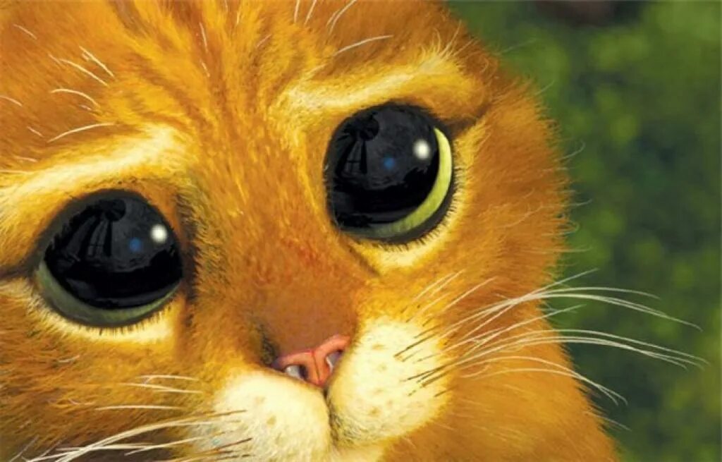 Милая улыбка милые глаза мадам вы. Кот Шрек. Шрек кот в сапогах милые глазки. Глаза кота из мультфильма Шрек. Котик из Шрека.