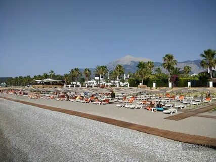 Simena sun
