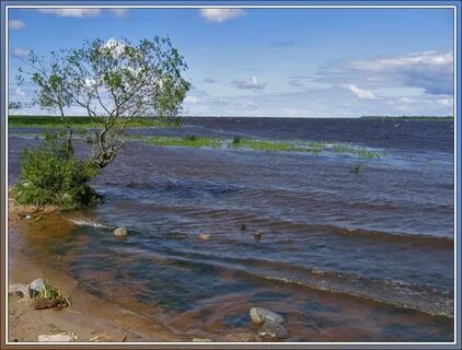 Креницы волховский