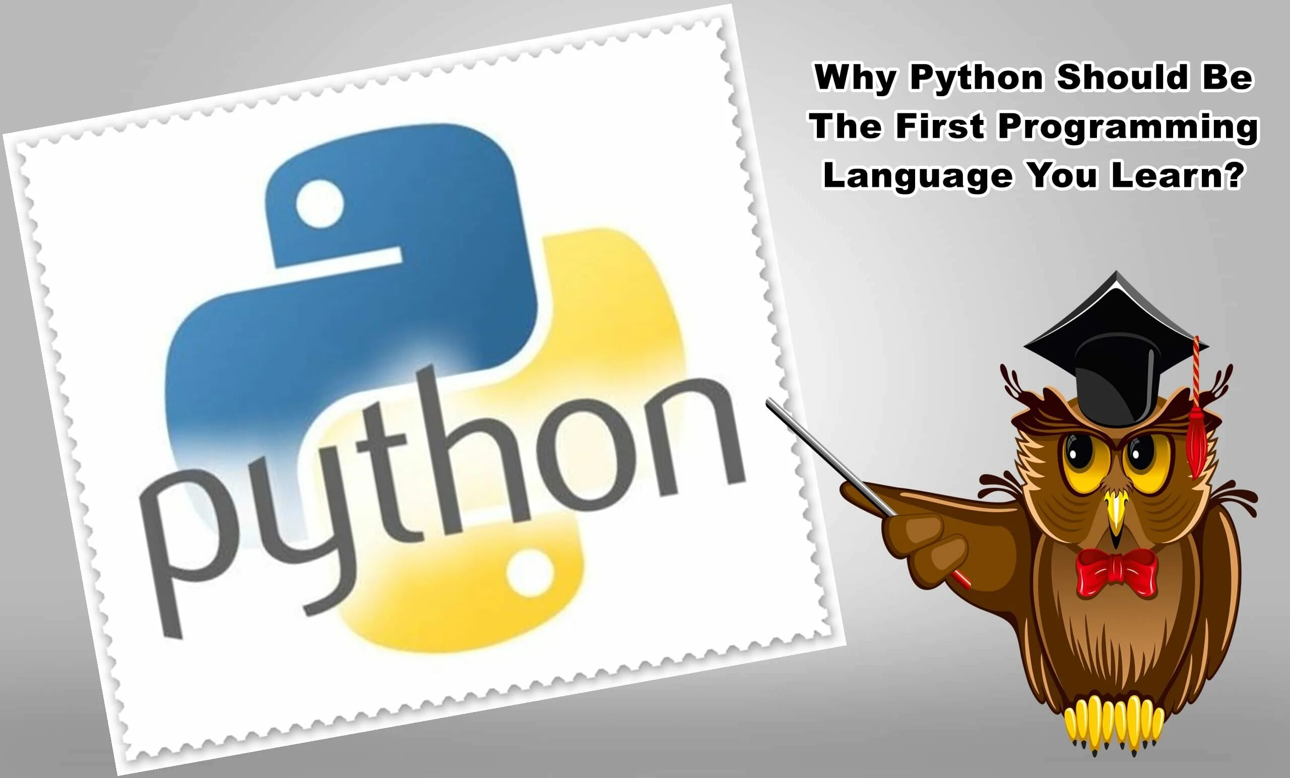 Python shall