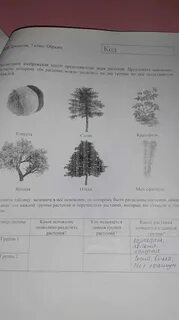 Поляна была обыкновенная покрытая впр 7