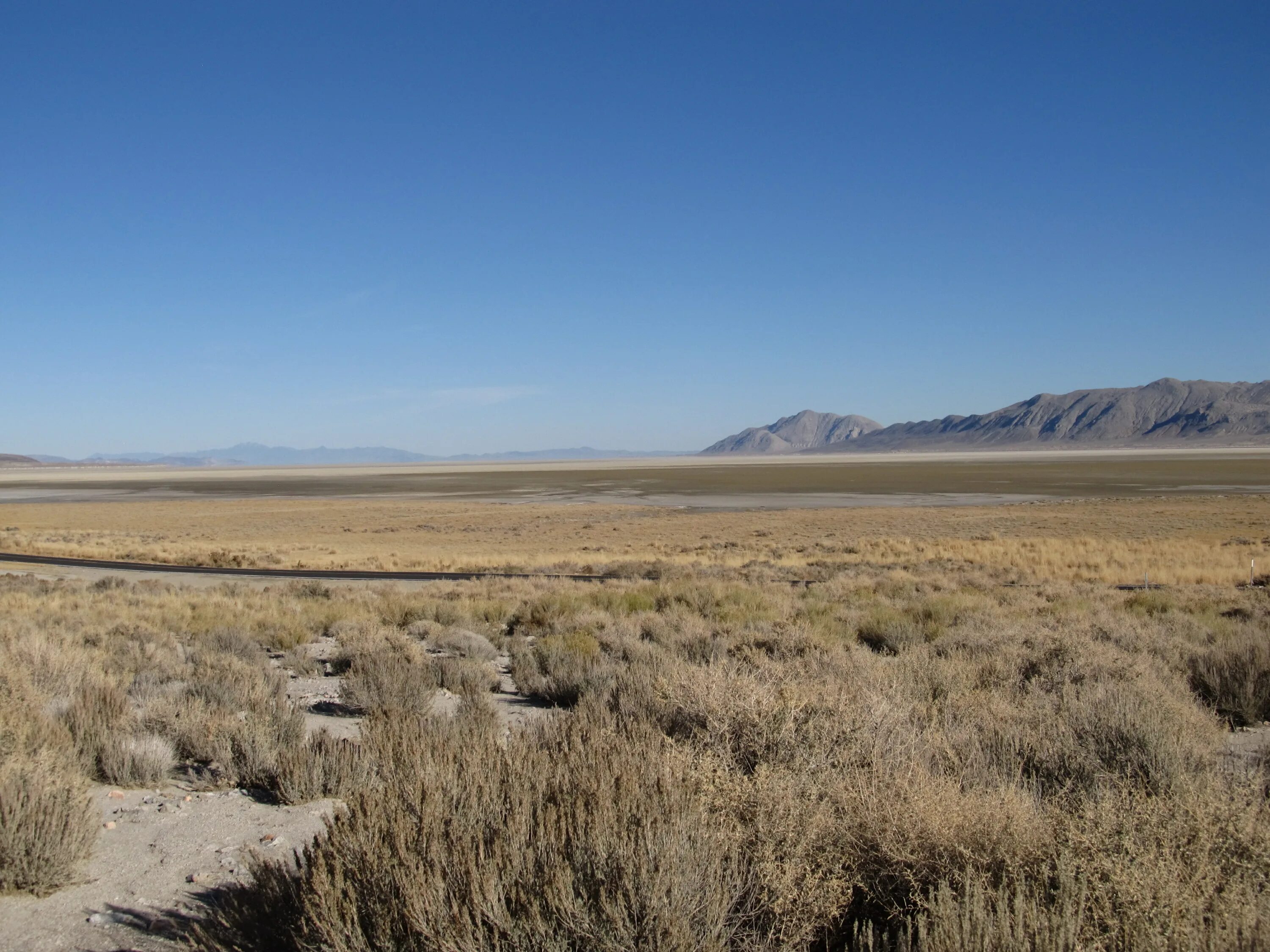 Степь полупустыня пустыня. Степь полупустыня пустыня. Степи полупустыни пустыни. Степи полупустыни пустыни. Степи пустыни и полупустыни россии.