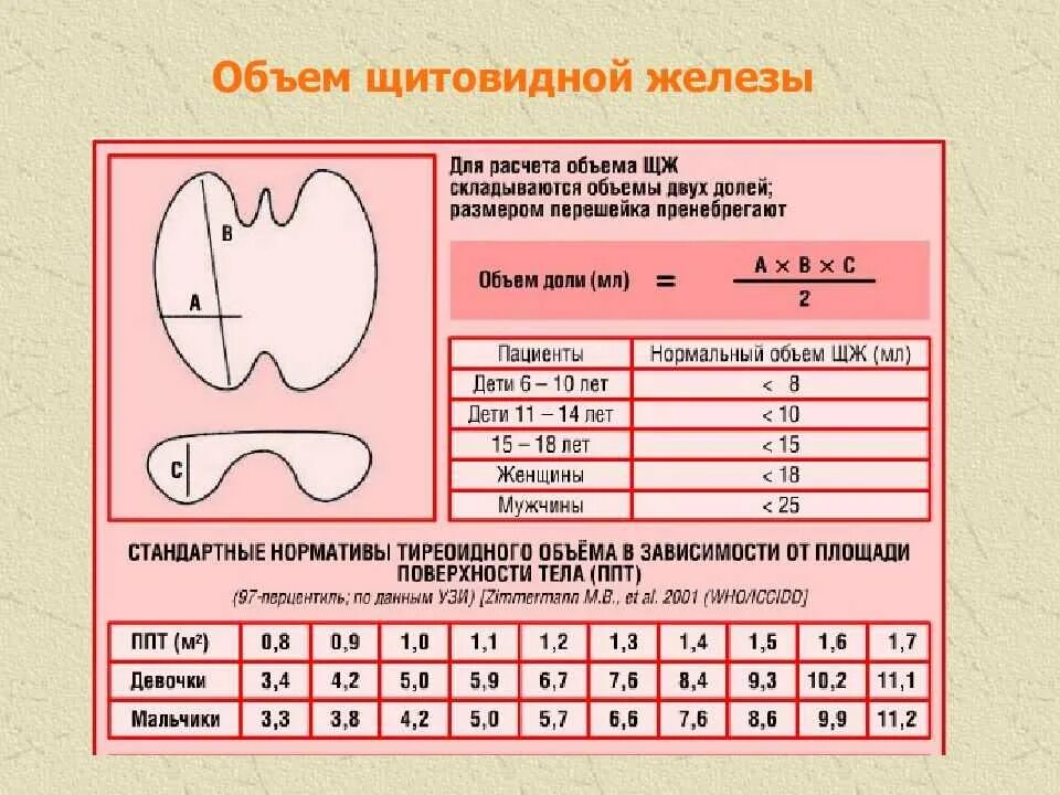 Какие должны быть нормы щитовидной железы. Норма объема щитовидной железы по УЗИ. Норма объема щитовидной железы у женщин по возрасту таблица. Норма объема щитовидной железы у детей по УЗИ. Обеммщитовидной железы.