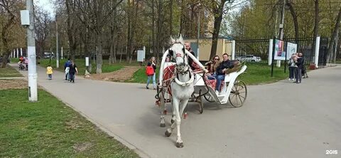 Масленица талалихина 2024