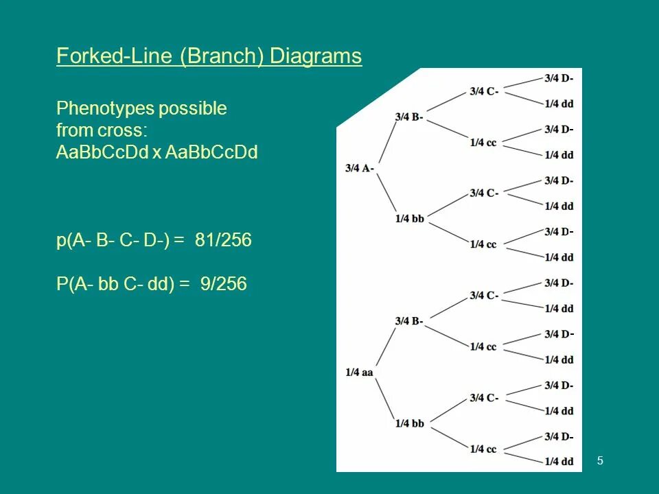 Aabbccdd. Гаметы aabbccdd. Генотипом aabbccdd?. Aabbccdd и aabbccdd скрещивание.