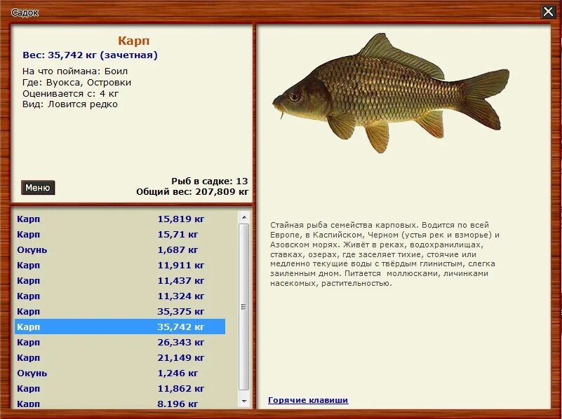 Карп русская рыбалка 3. Где ловить карпа. Карп зеркальный реальная рыбалка. Карп рыба вес. На что ловится зеркальный Карп.