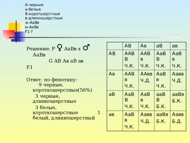 Дигибридное скрещивание аавв аавв. ААВВ. ААВВ Х ААВВ. Решетка Пеннета ААВВ ААВВ. ААВВ ААВВ скрещивание.