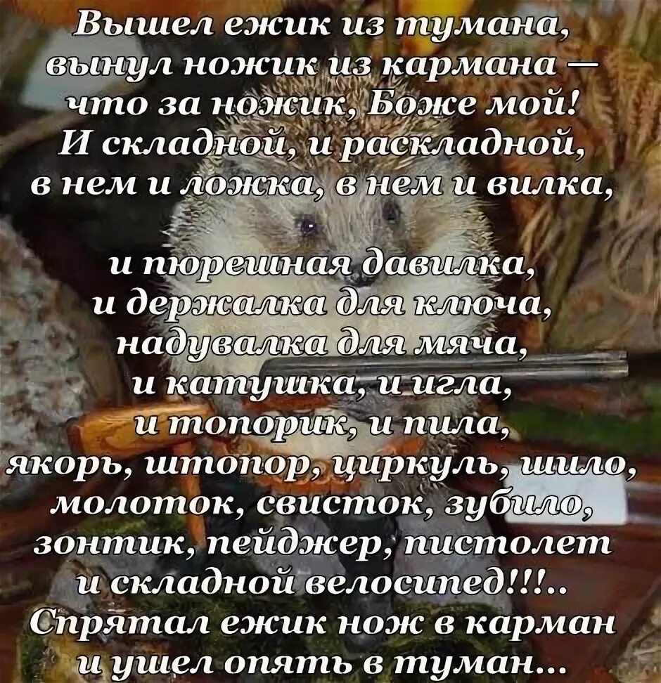 Вышел Ёжик из тумана вынул ножик из кармана. Вышел Ёжик из тумана стишок. Вышел Ёжик из тумана вынул ножик из кармана стих. Считалочка вышел Ёжик из тумана вынул.