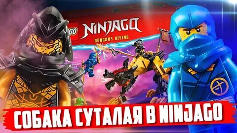 Арин ниндзяго