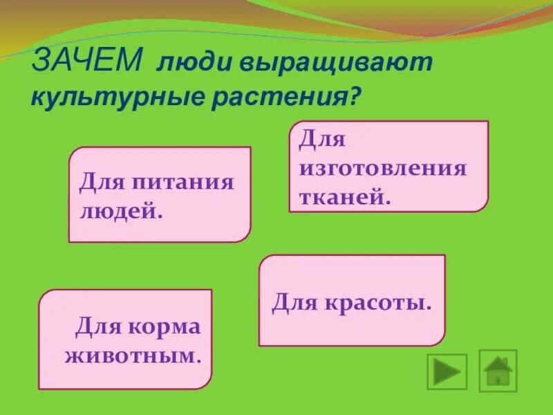 Вырасти значение
