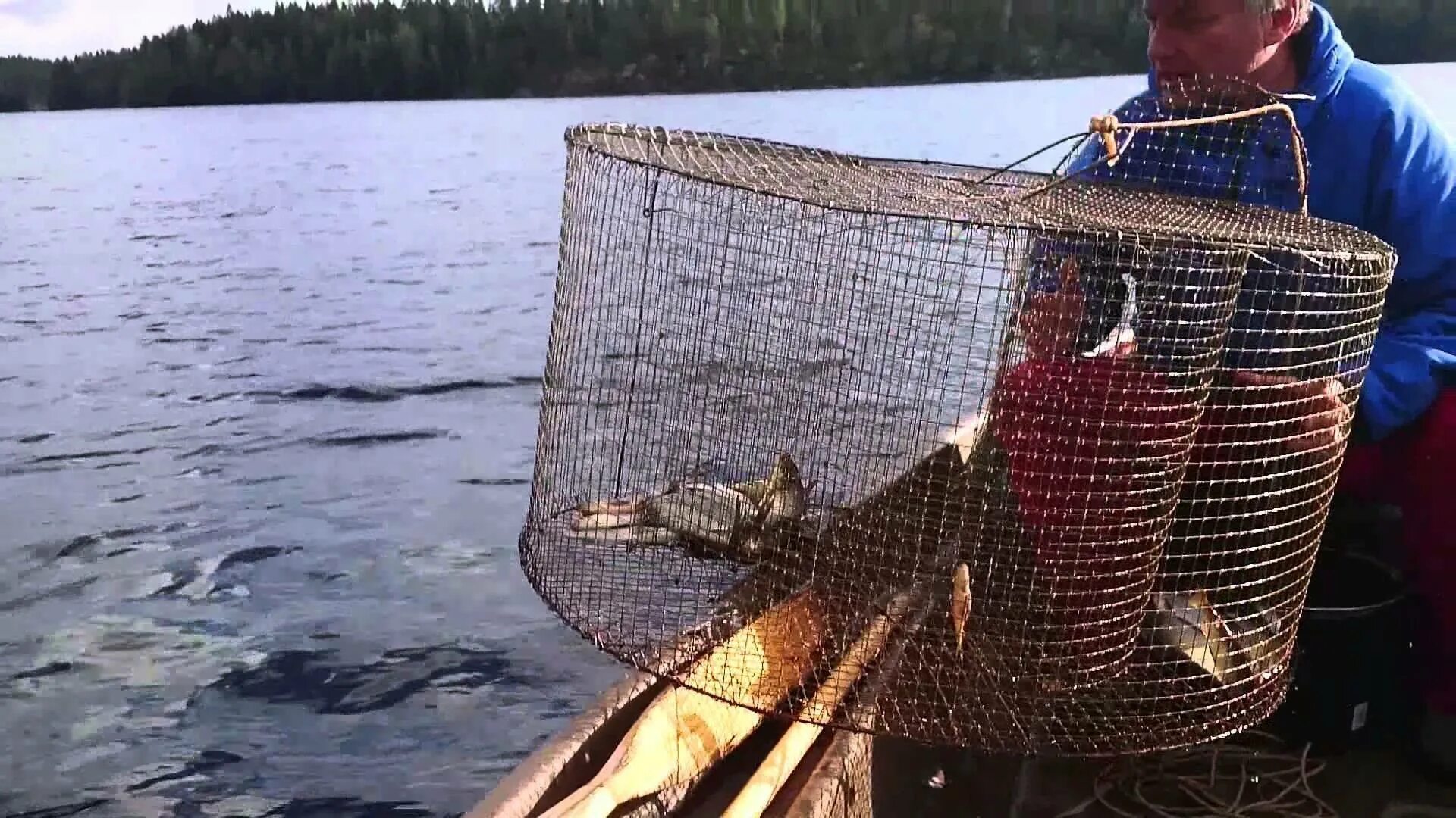 Рыбацкий телевизор