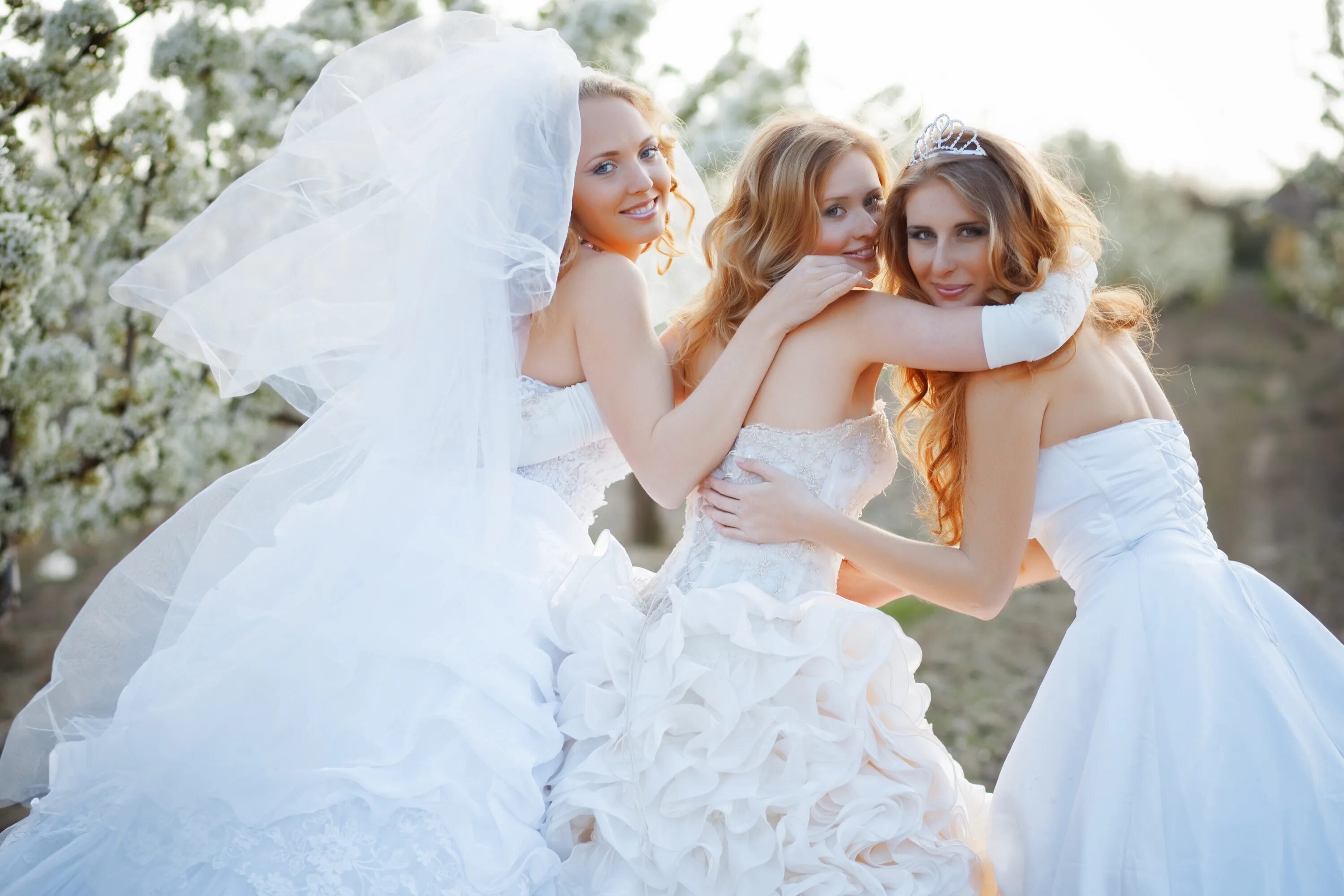 Девушка в свадебном платье. Невесты в свадебных платьях. Две девушки в свадебных платьях. Три невесты. Невест так много читать полностью