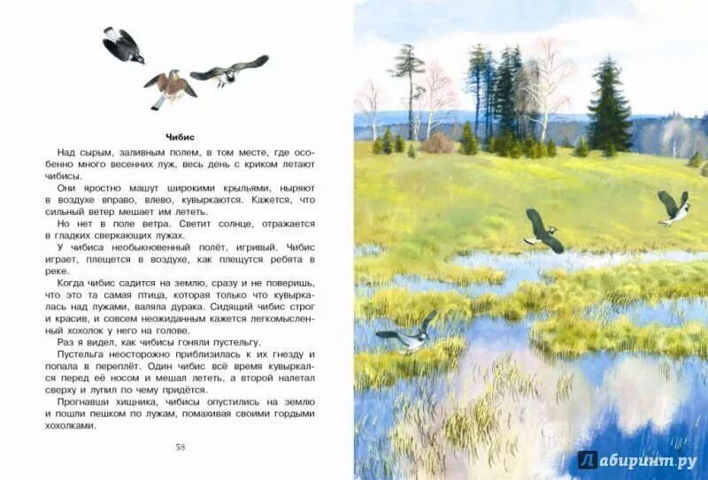 Толстой лев николаевич произведения о природе. Книга рассказы о природе. Короткие рассказы о природе. Короткие рассказы о природе. Рассказы о природе для детей.