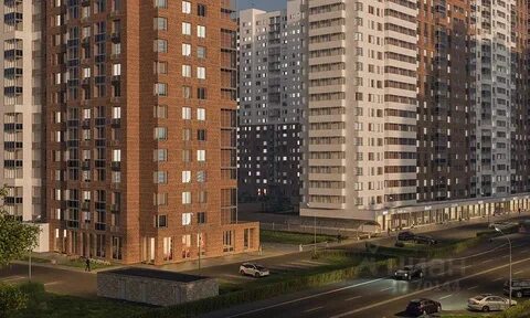 Forest москва