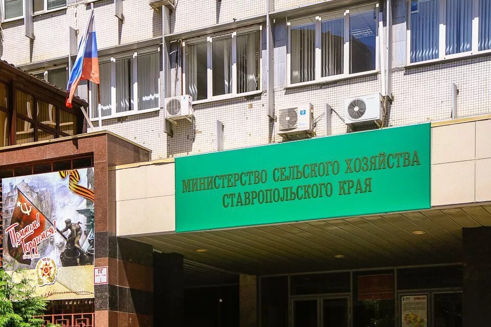 минсельхоз края. министерство сельского хозяйства ставропольского края сотрудники. зам министра сельского хозяйства ставропольского края. грищенко минсельхоз ставропольского края. минсельхоз края.