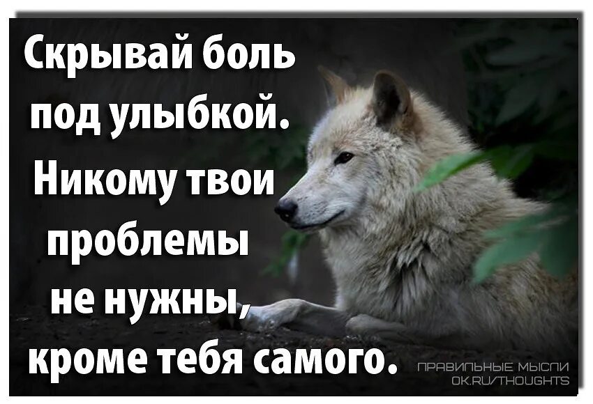 Никогда никому не показываю. Боль за улыбкой. Под улыбкой. Под улыбкой цитаты. Прячу боль за улыбкой.