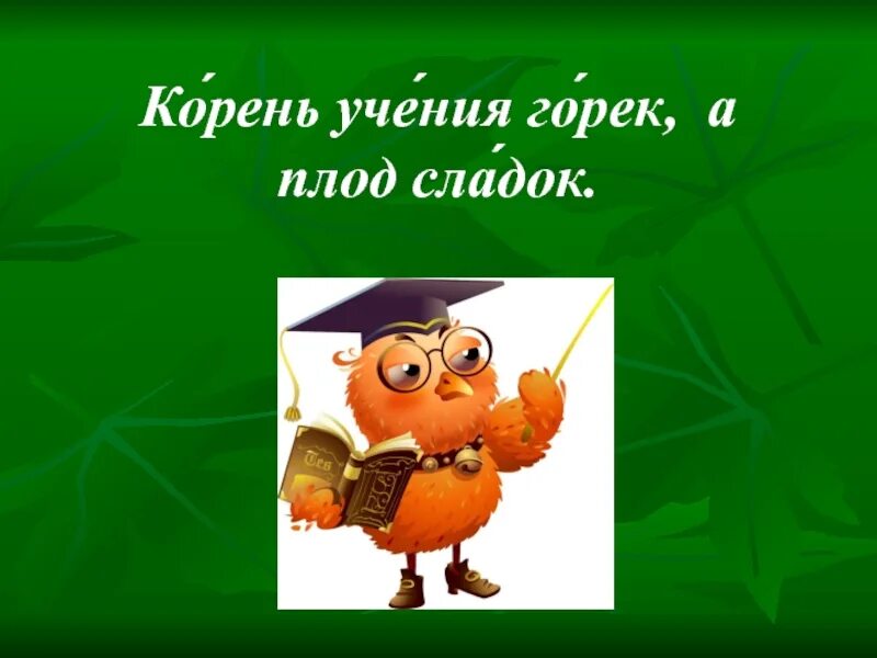 Корни образования горькие но плоды сладкие. Корень учения горек да плод сладок. Пословица корень учения горек да плод его сладок. Корень учения горек а плод. Корень учения горек но плоды его Сладки.