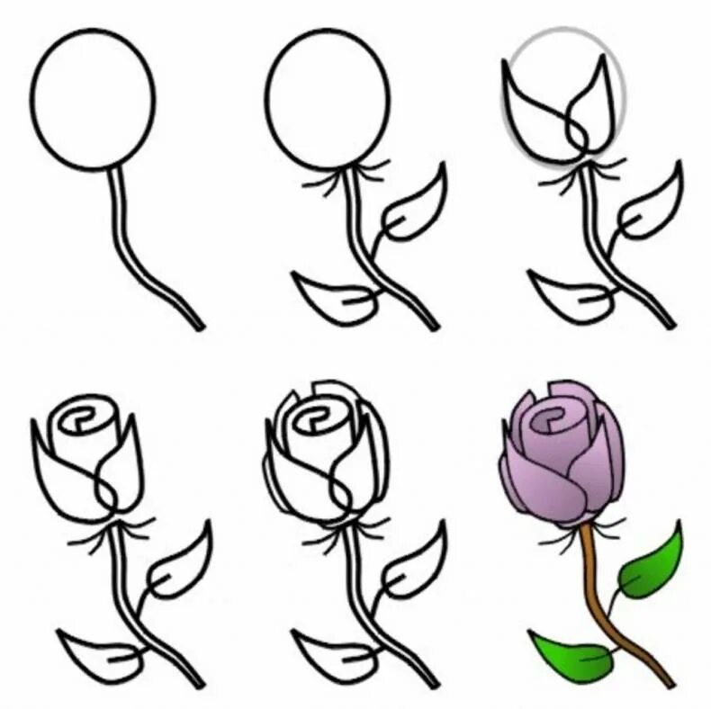 Что нарисовать быстро и красиво. Простые рисунки цветов для срисовки. Поэтапное рисование цветов. Поэтапное рисование розы. Красивые простые цветы для срисовки.